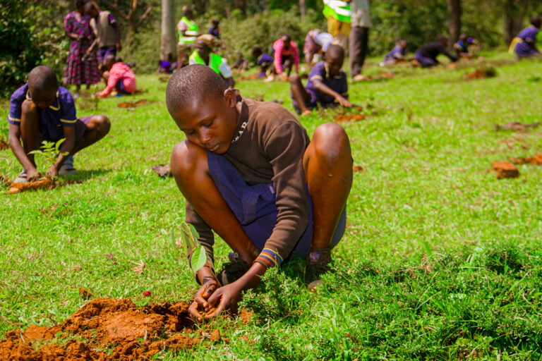 RESTORATION AND CONSERVATION OF BUNYALA FOREST IN KENYA